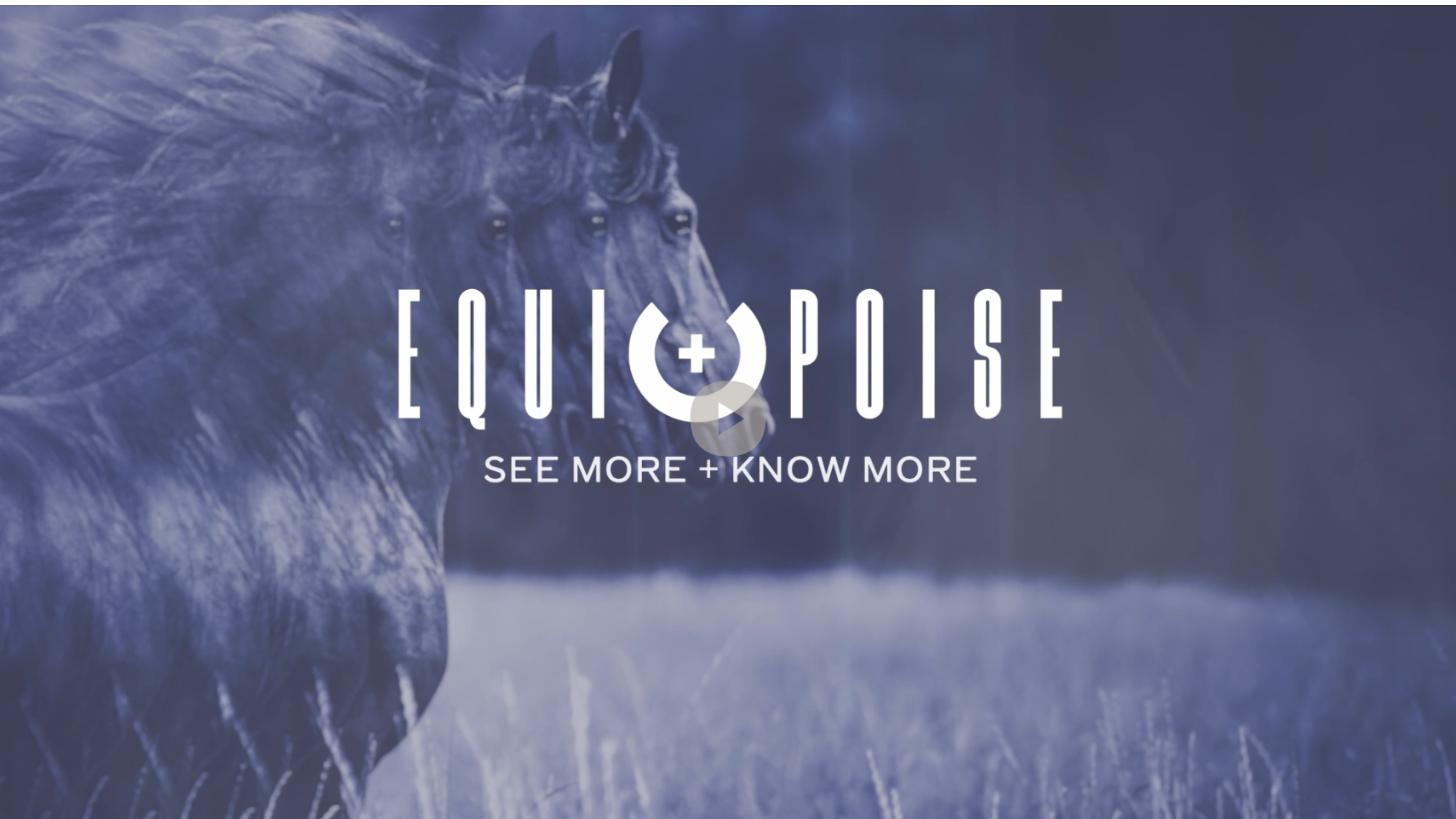 The Equi+Poise film