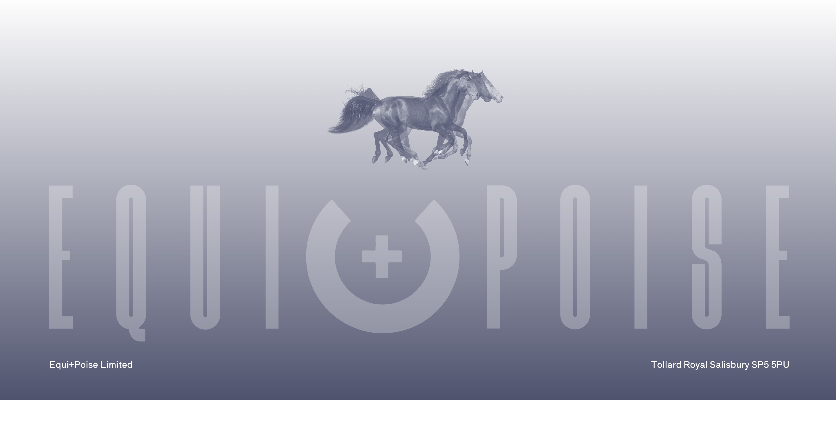 Equi+Poise Limited, Tollard Royal, Salisbury SP5 5PU