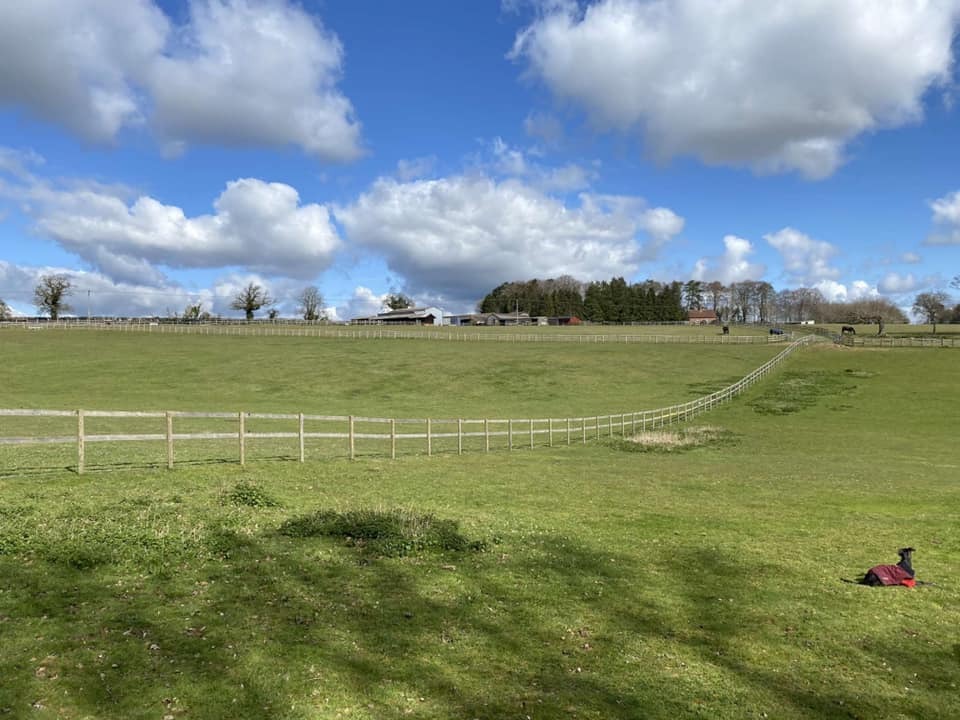 37 acres of grazing at Tollard Park