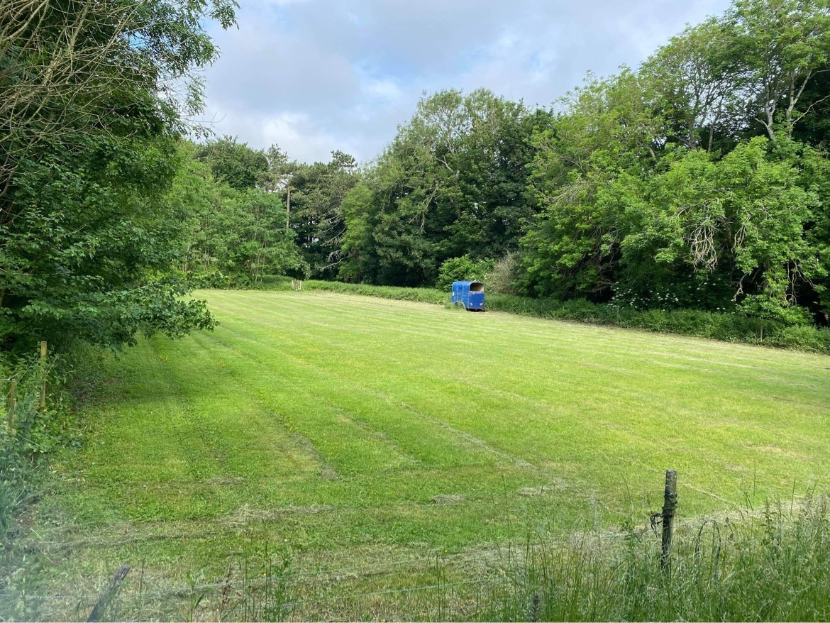 The grass arena at Tollard Park