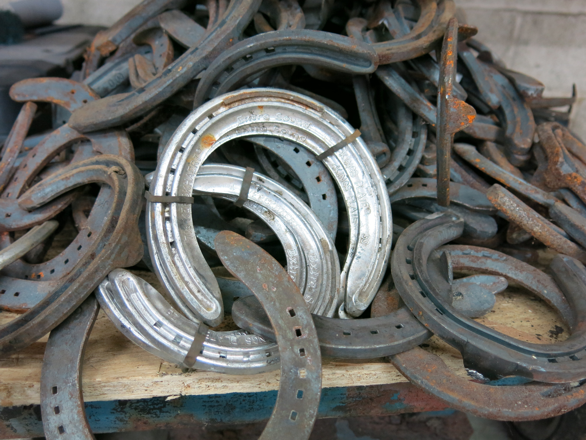 Horse shoes